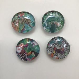 🌟Host Pick🌟 4 glass magnets